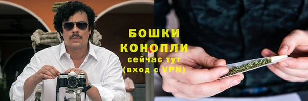 эйфоретик Арсеньев