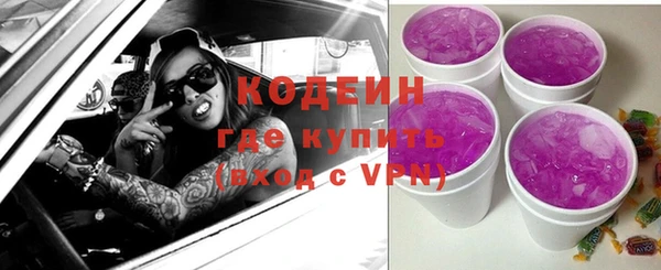 эйфоретик Арсеньев