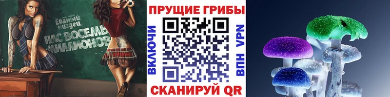 магазин    Волжск  Галлюциногенные грибы Cubensis 